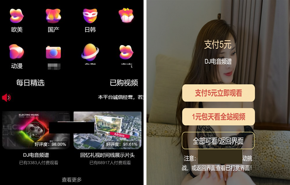 最新版付费视频打赏程序源码 多模板+全新UI 带包天+可扣量+代理 非云赏V系列-久趣源码交流论坛