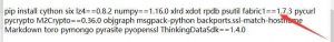 【口袋觉醒】口袋觉醒搭建pip命令报错修复教程-久趣源码交流论坛