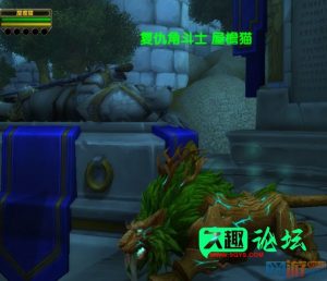 各种TBC飞行坐骑和新坐骑的所有代码介绍-久趣源码交流论坛